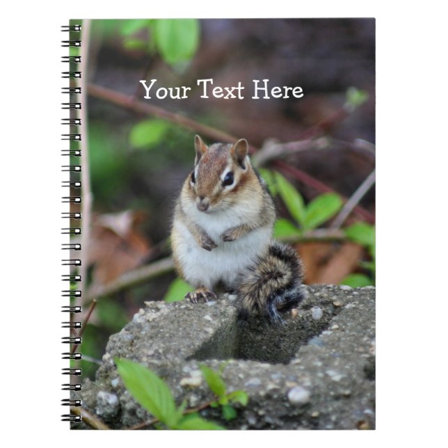 Carnet d'art naturel de Chubby Chipmunk (Devant)