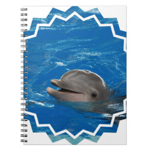 Carnet Dauphin aimable
