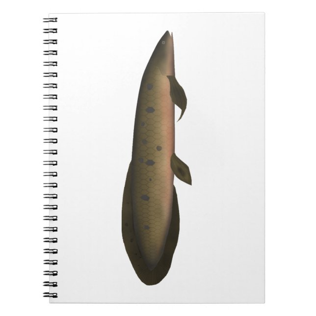 Carnet Dauphin australien (Devant)
