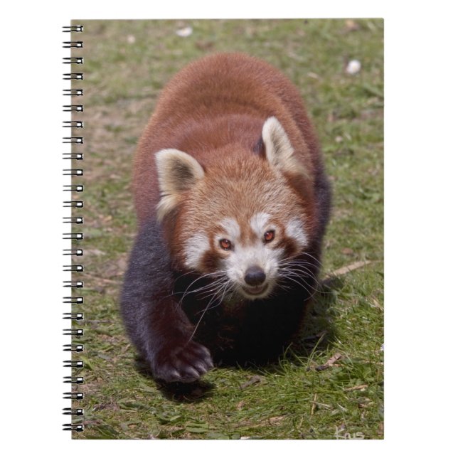 Carnet de Bandit (Devant)