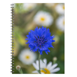 Carnet de bleuet