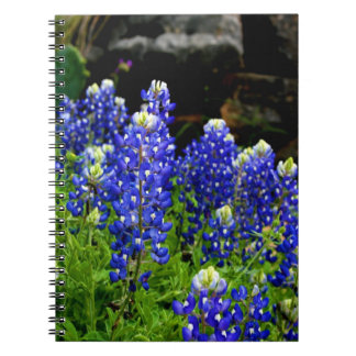Carnet de Bluebonnets de Texas