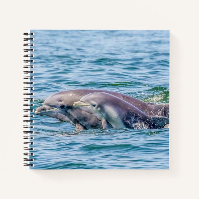 Carnet de bord pour bébé et dauphin d'amour de la  (Devant)
