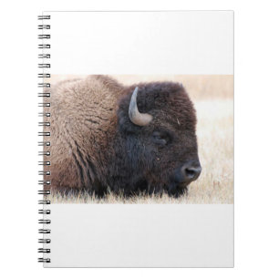 Carnet De Buffalo de bison fin