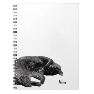 carnet de capot rigide à spirale noire de 5,5 po x