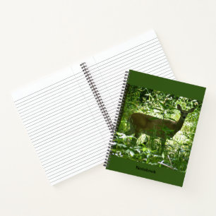 Carnet de cerfs