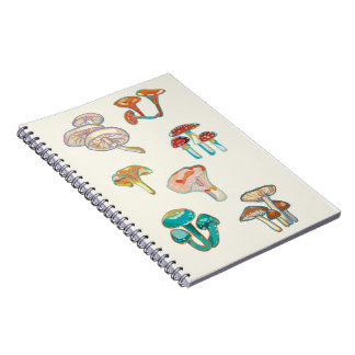 Carnet de champignons