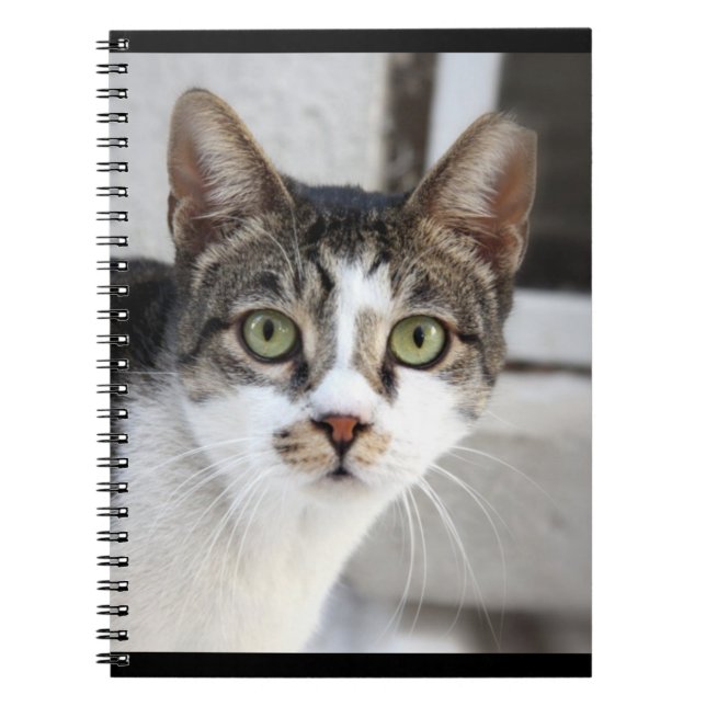 Carnet de chat (Devant)