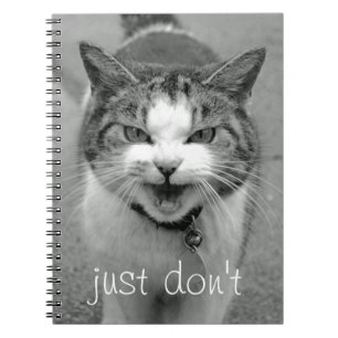 Carnet de chat de crabby