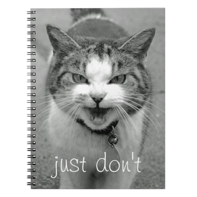 Carnet de chat de crabby (Devant)