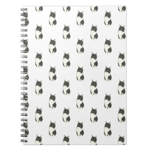 Carnet de chat Ragamuffin Tuxedo