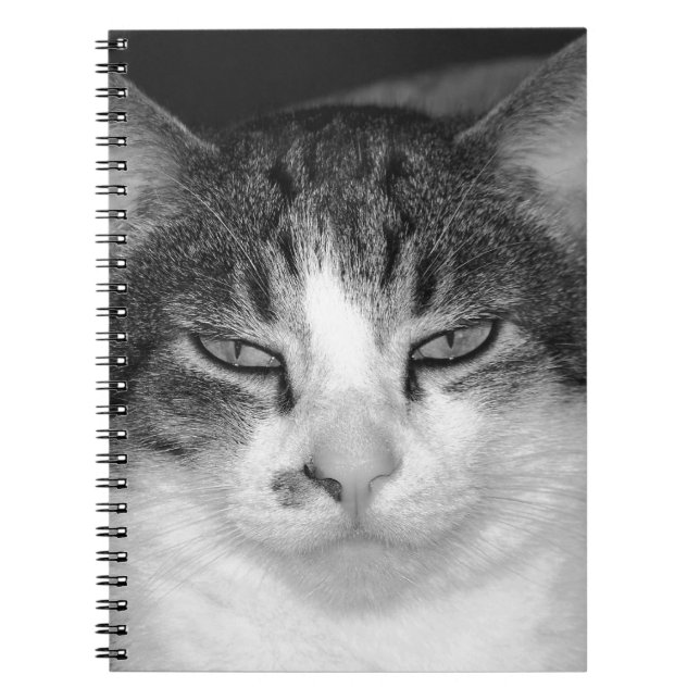 Carnet de chat Tabby-and-White (Devant)