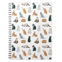 Carnet de chats joueurs