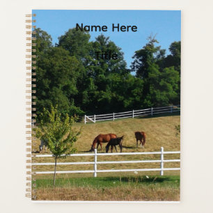 Carnet de chevaux