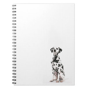 Carnet de chien du feu