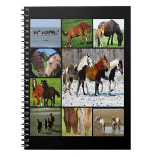 Carnet de collage des chevaux