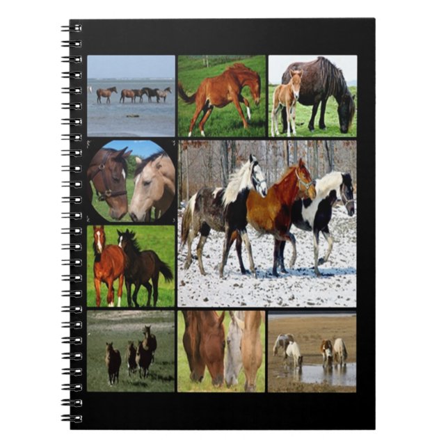 Carnet de collage des chevaux (Devant)