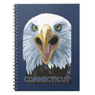 Carnet De ConnecticutEagle fin