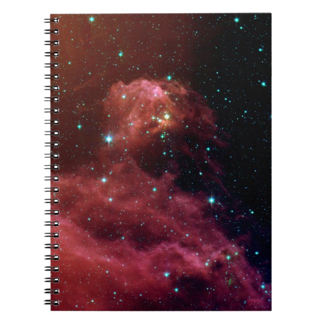 Carnet de constellation d'Orion (Devant)
