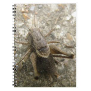 Carnet de cricket Brown Field