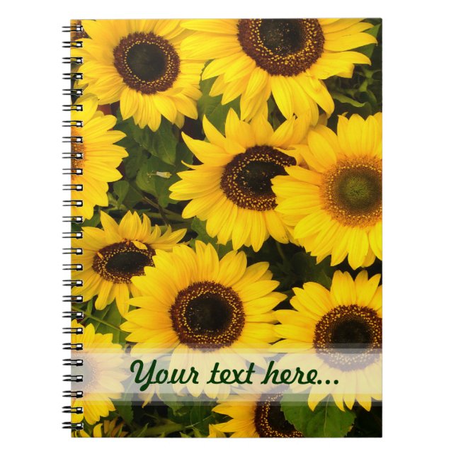 Carnet de ~ de tournesol (Devant)