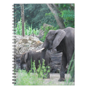 Carnet de famille d'éléphant