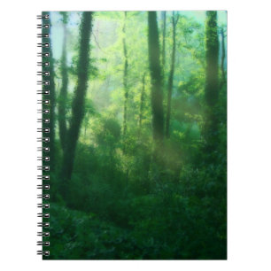 Carnet de fertilité