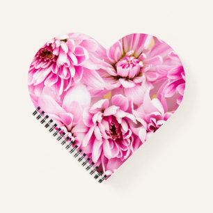 Carnet de fleurs de chrysanthème rose