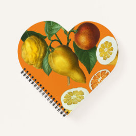 CARNET DE FRUITS DE CITRUS