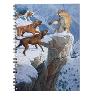 Carnet de fureur de montagne