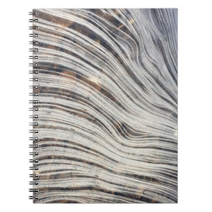 Carnet de glace de Loch Ness