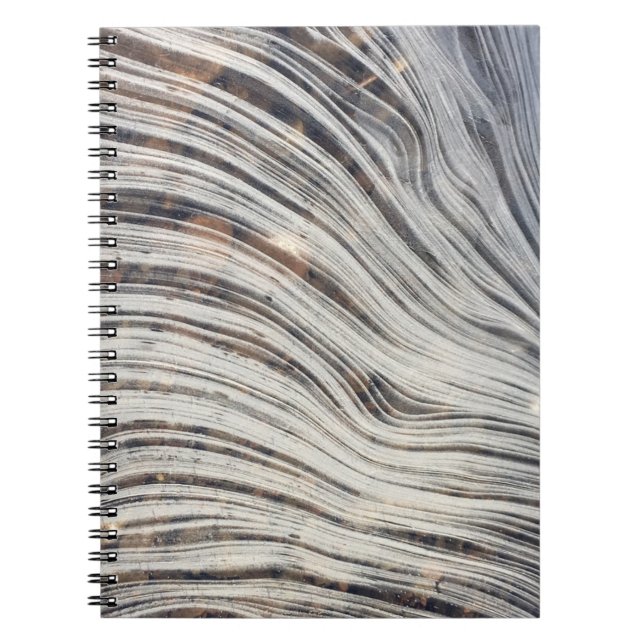 Carnet de glace de Loch Ness (Devant)