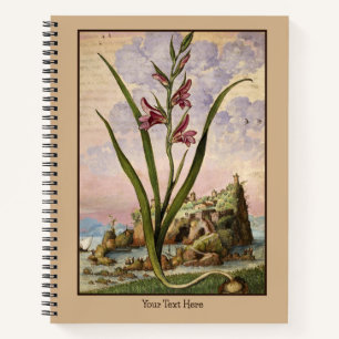 Carnet de Gladioli Renaissance