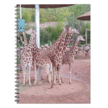 Carnet de groupe n° 2