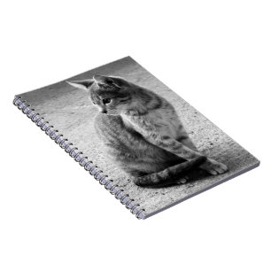 Carnet de Kitten noir et blanc