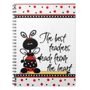 Carnet de la coccinelle du professeur