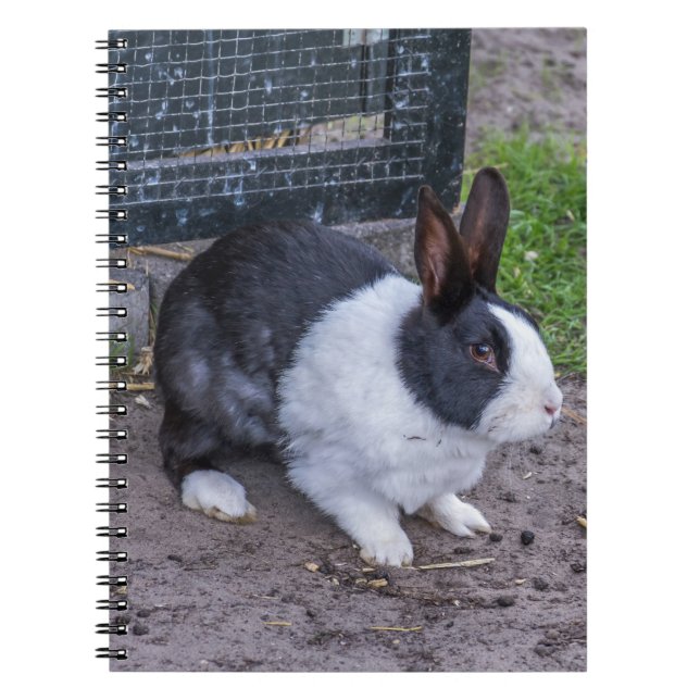 Carnet de lapin (Devant)