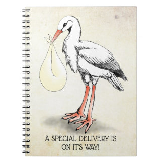 Carnet de livraison spéciale de la cigogne (neutre
