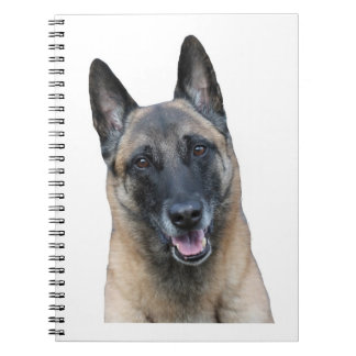 Carnet de Malinois de Belge