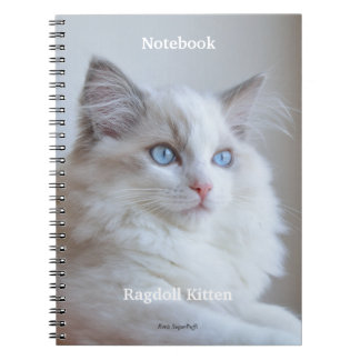 Carnet de notes à spirale - chaton Boris