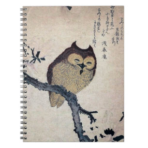 Carnet de notes à spirale de hibou vintage
