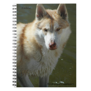 Carnet de notes à spirale de loup