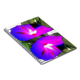 Carnet de notes à spirale de matin de fleur