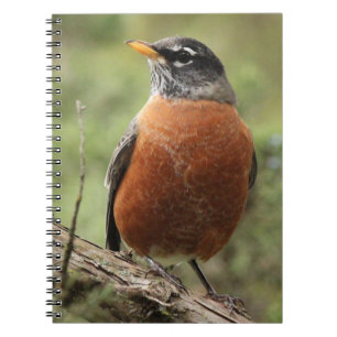 Carnet de notes à spirale de sein rouge de Robin
