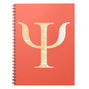Carnet de notes à spirale orange de symbole de la