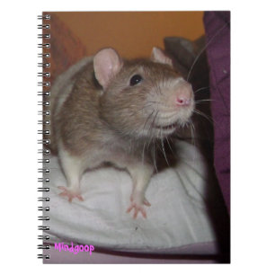 carnet de notes à spirale riant de rat