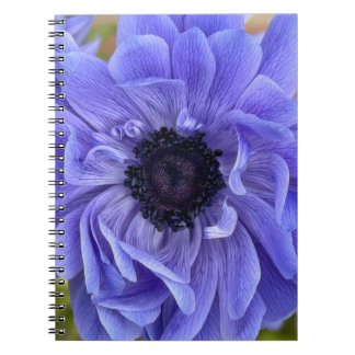Carnet de notes floral