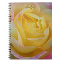 carnet de notes rose intemporel