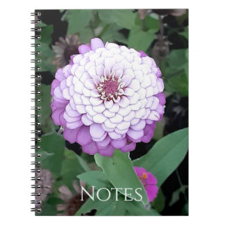 Carnet de notes Zinnia lavande