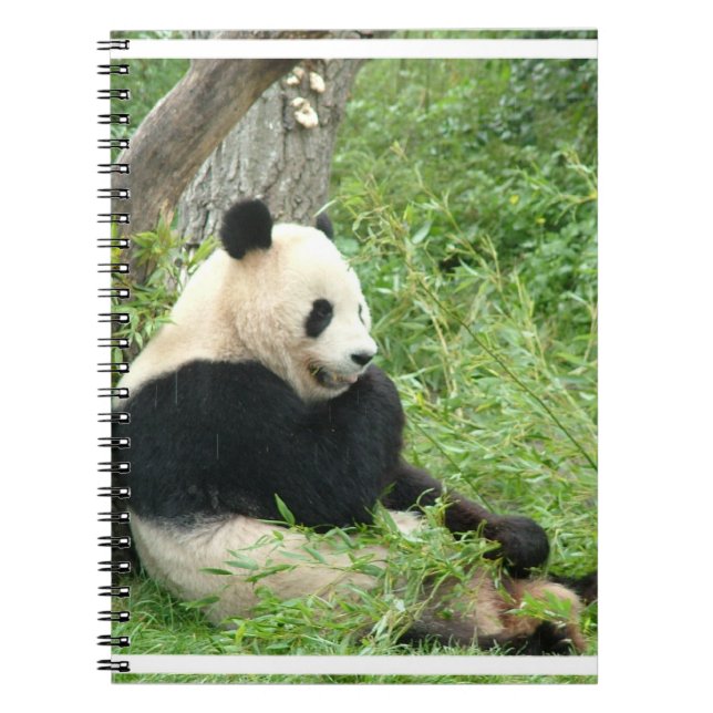 Carnet de panda (Devant)